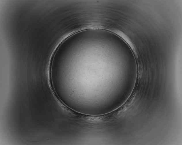 X0000093410861200710121116