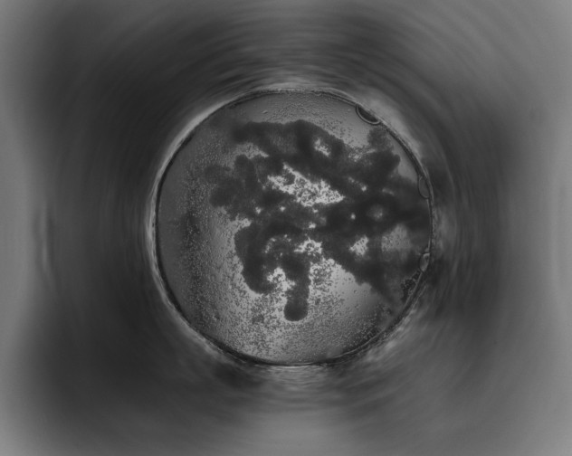 X0000093410863200710121116