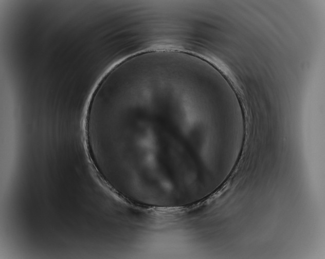 X0000093410864200710121116