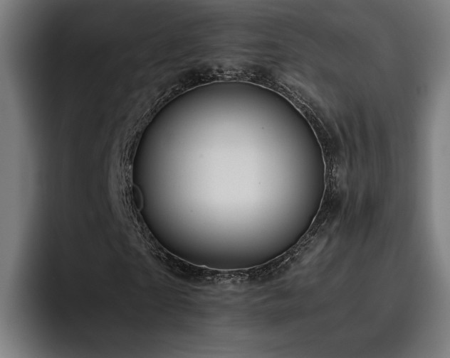 X0000093410865200710121115