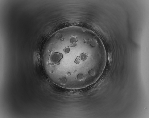 X0000093410867200710121115