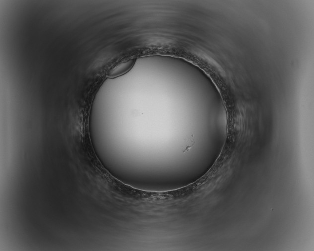 X0000093410869200710121115