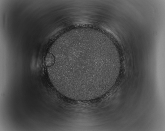 X0000093410870200710121115