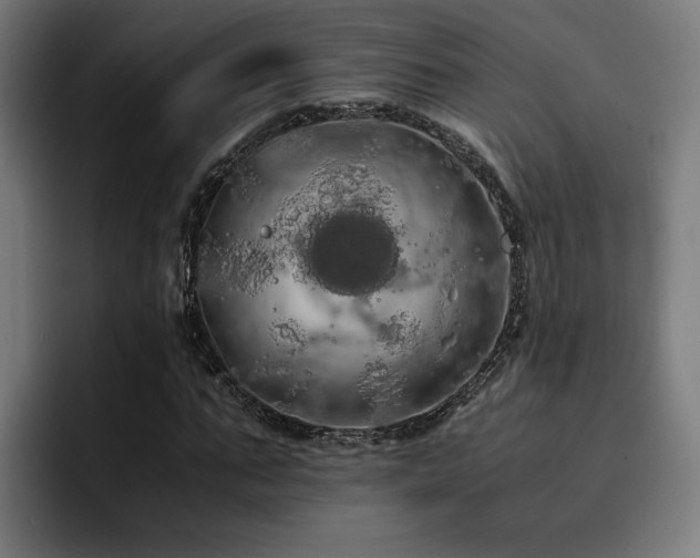 X0000093410871200710121115