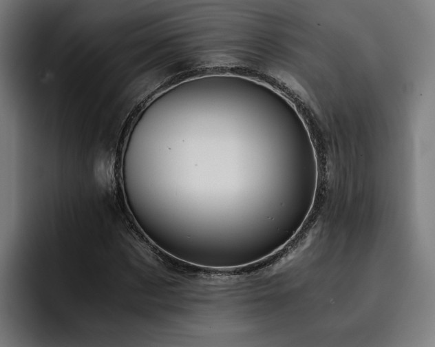 X0000093410873200710121115