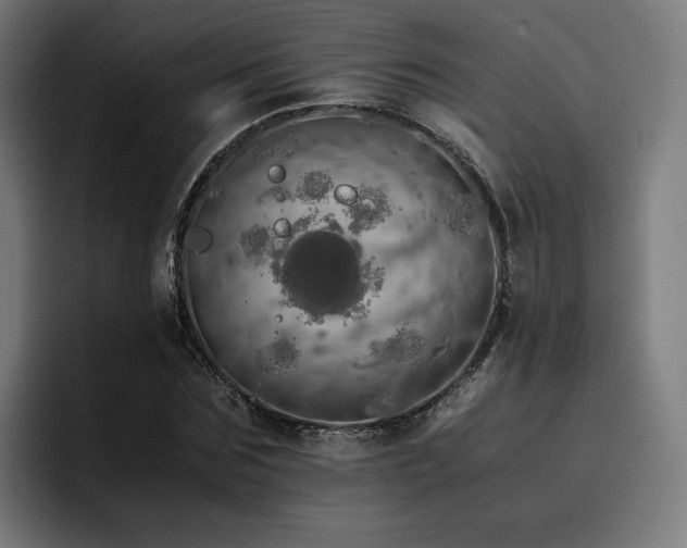 X0000093410875200710121115