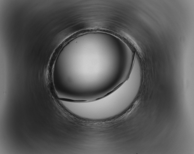 X0000093410876200710121115