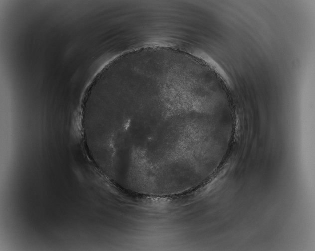 X0000093410878200710121115