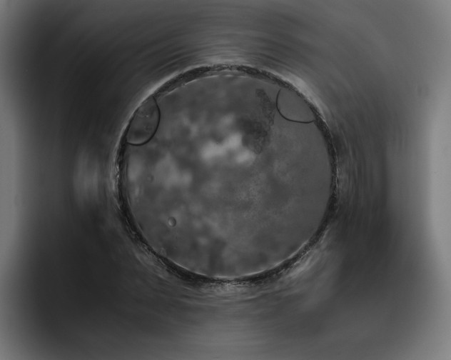 X0000093410879200710121115