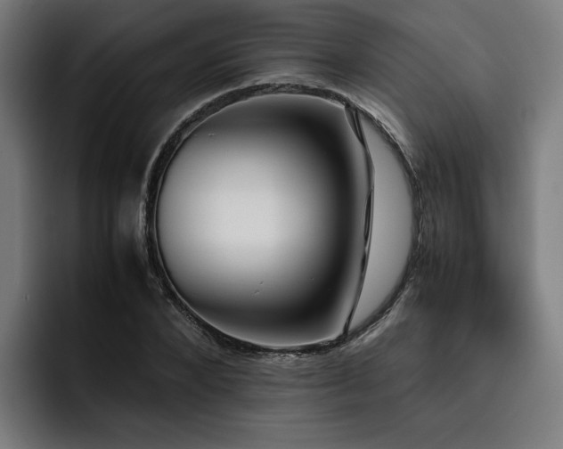 X0000093410880200710121115