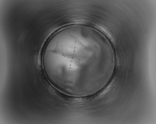 X0000093410883200710121115