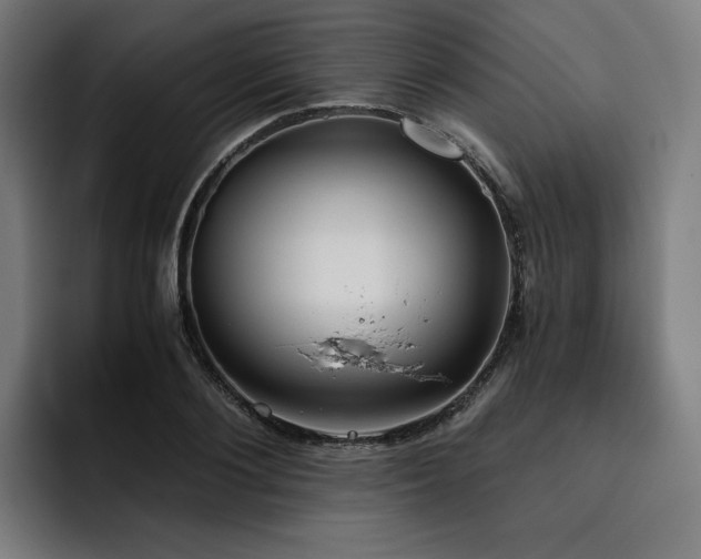 X0000093410884200710121115