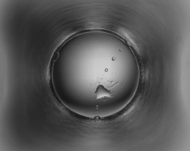 X0000093410885200710121115