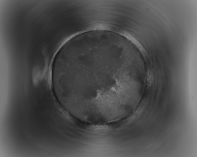 X0000093410886200710121115