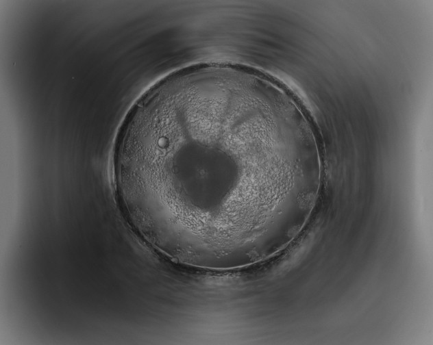 X0000093410887200710121115