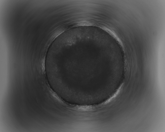 X0000093410889200710121115