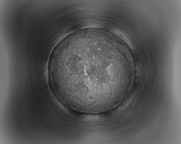 X0000093410890200710121115