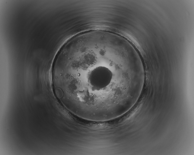 X0000093410891200710121115