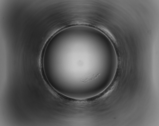 X0000093410893200710121115