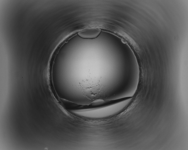 X0000093410894200710121115
