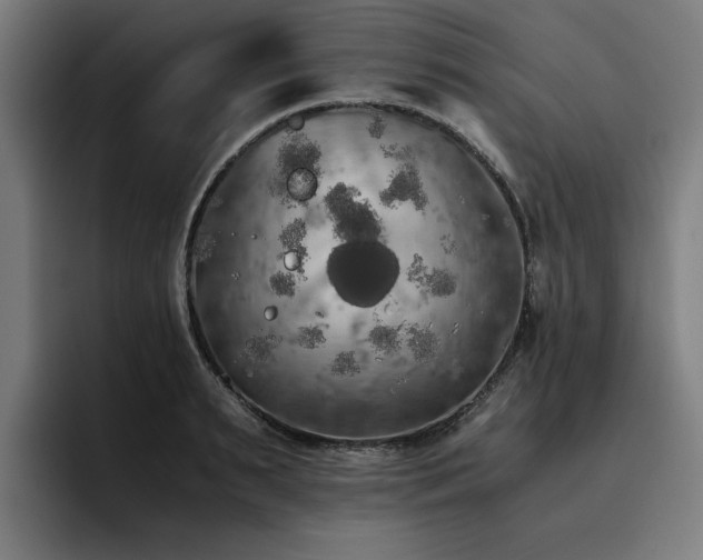 X0000093410895200710121115