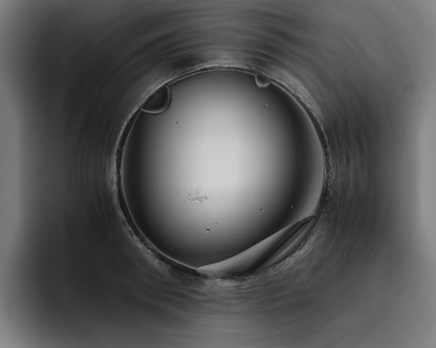 X0000093410898200710121115