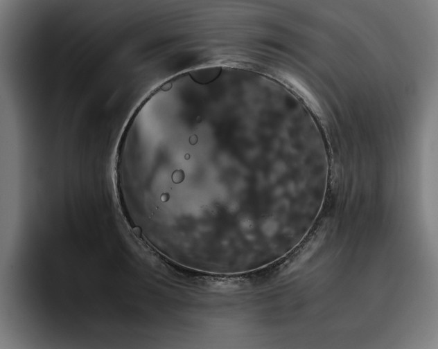 X0000093410899200710121115