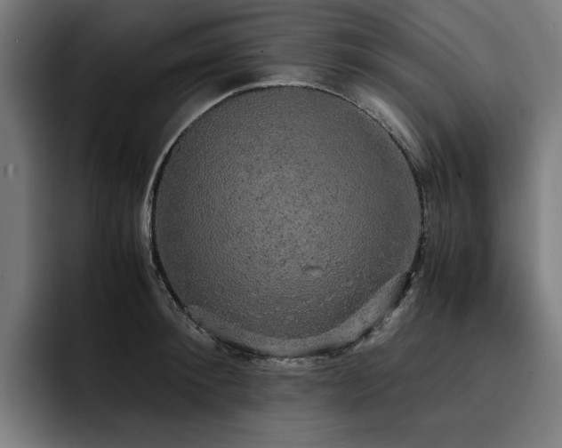 X0000093410900200710121115