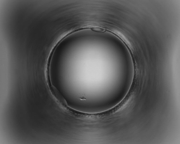 X0000093410901200710121115