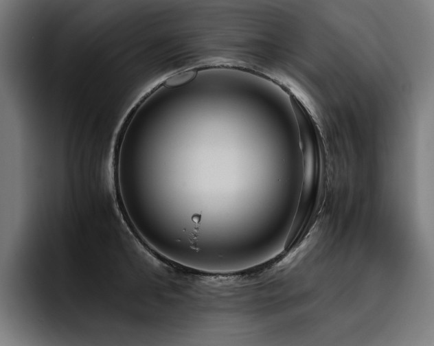 X0000093410902200710121115