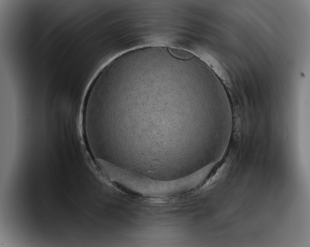 X0000093410904200710121115