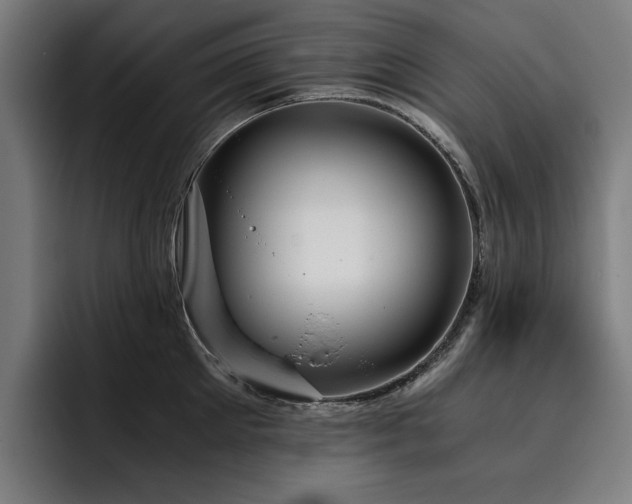 X0000093410905200710121115