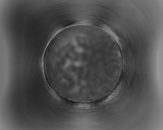X0000093410907200710121115