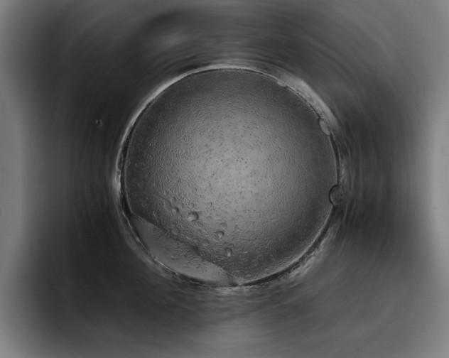 X0000093410908200710121115
