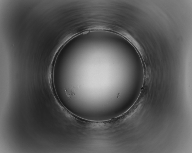 X0000093410909200710121115