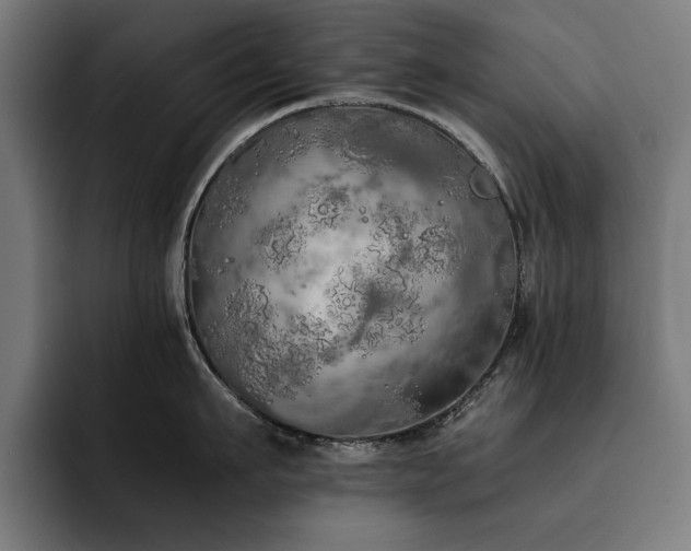 X0000093410911200710121115