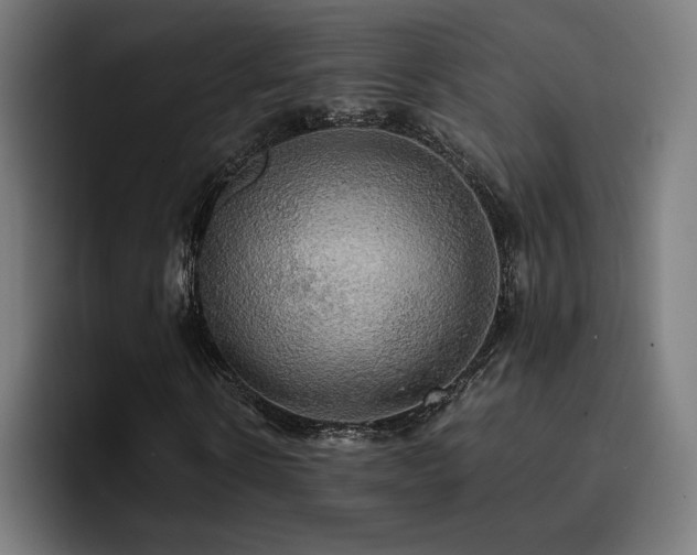 X0000093410914200710121114
