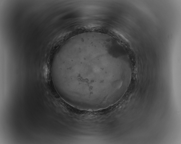 X0000093410917200710121114