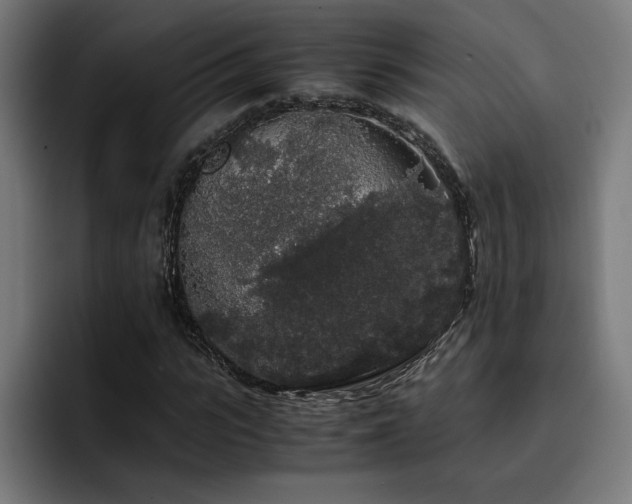 X0000093410919200710121114