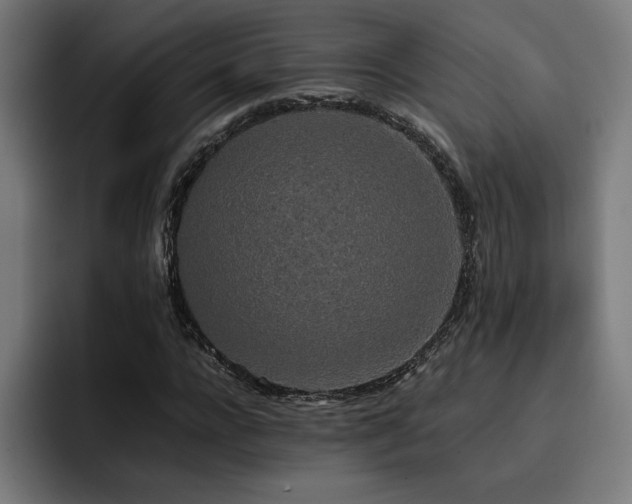 X0000093410920200710121114
