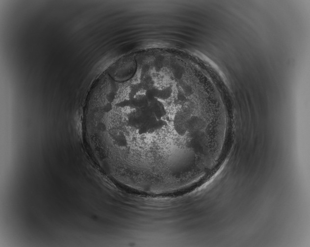 X0000093410921200710121114