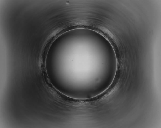 X0000093410922200710121114