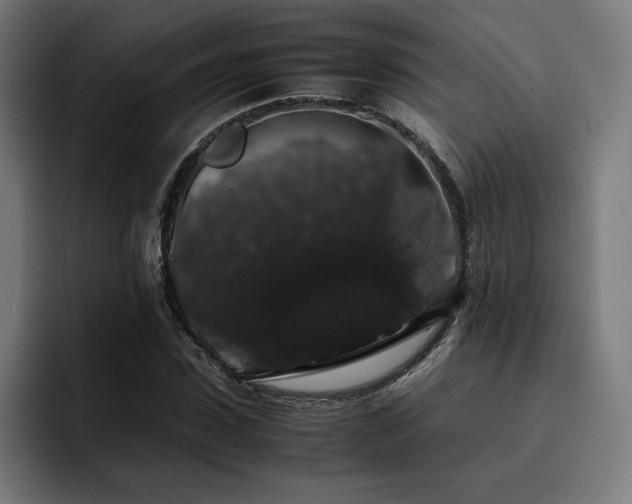 X0000093410923200710121114
