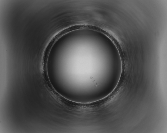 X0000093410927200710121114