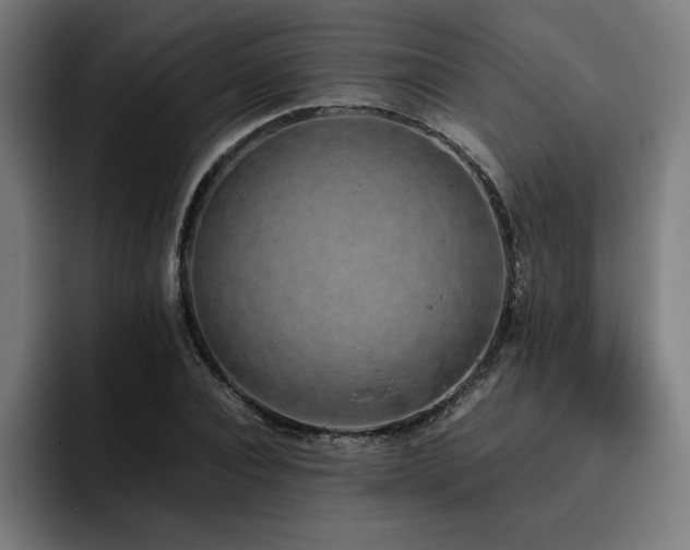 X0000093410928200710121114