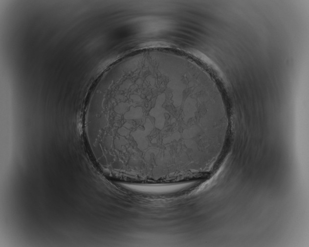 X0000093410929200710121114