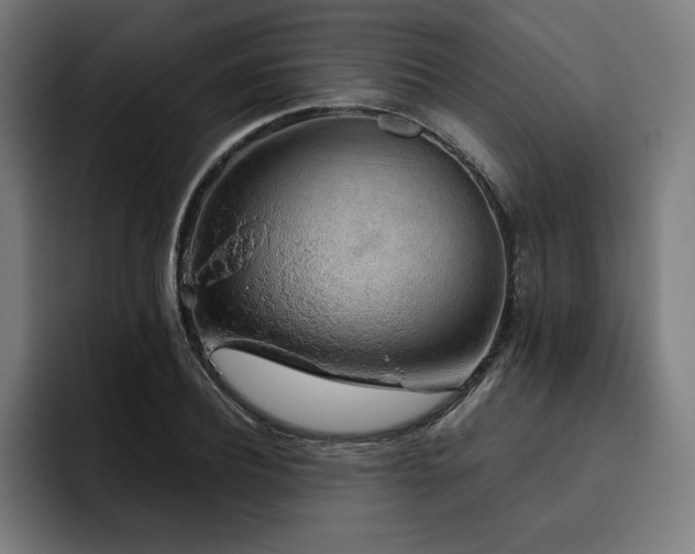 X0000093410932200710121114