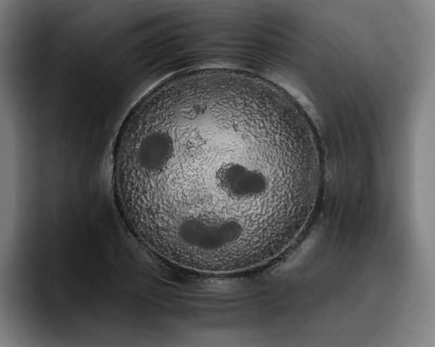 X0000093410933200710121114