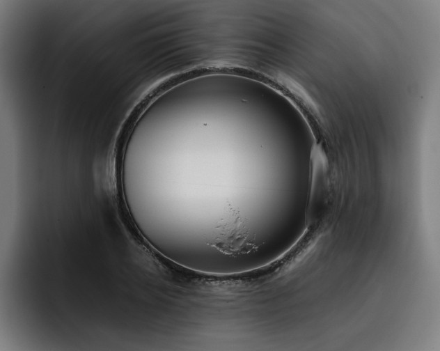 X0000093410934200710121114