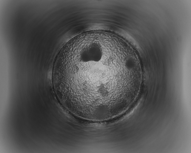 X0000093410937200710121114